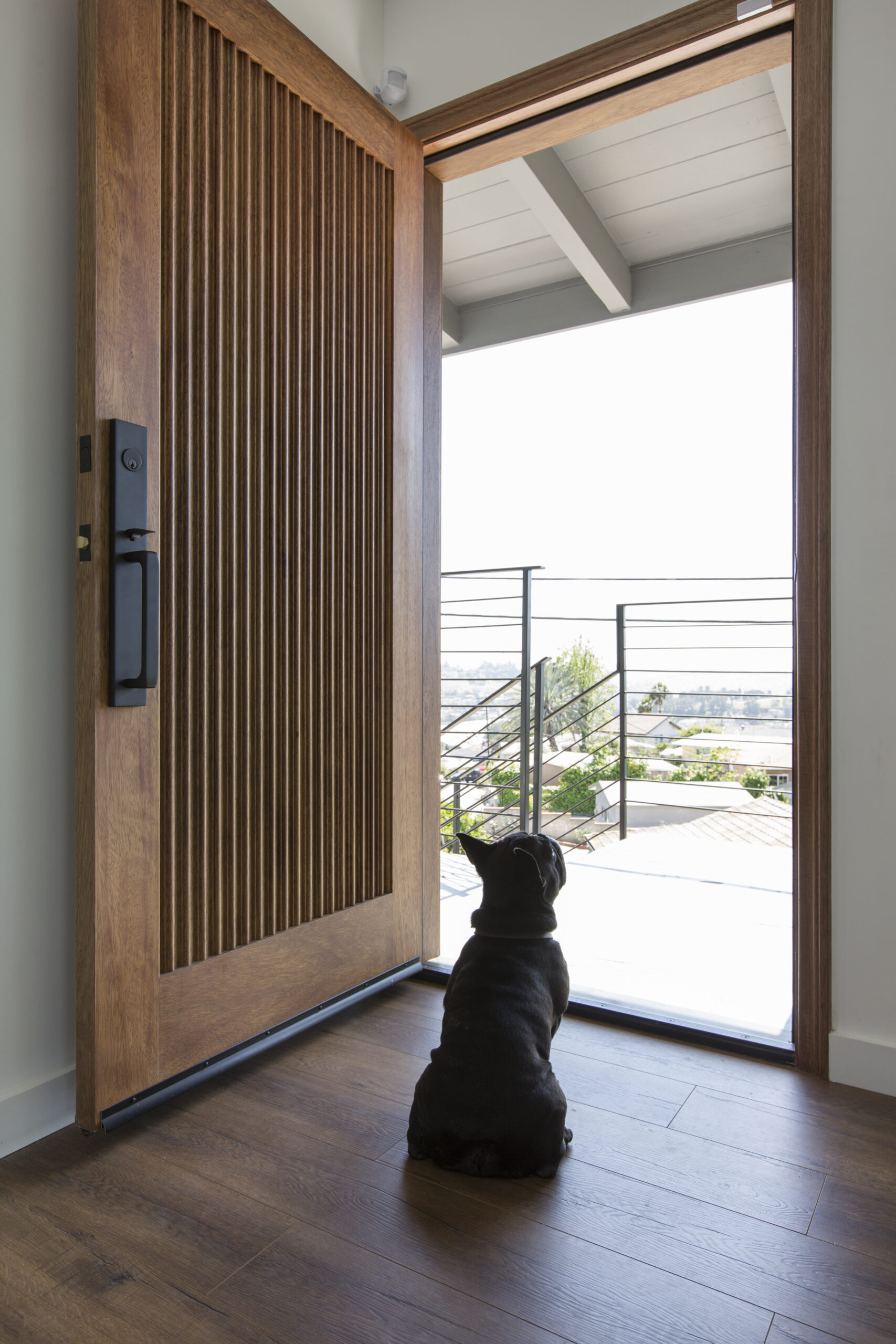 Emtek multi point lock on entry door with dog waiting at the the entrance